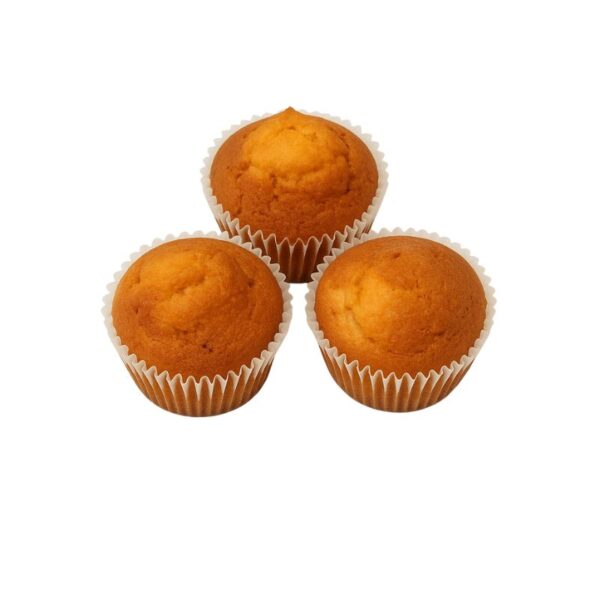 Bezglutenski Muffin iz No Gluten Factory – zdrav muffin s rižinim brašnom i brašnom kinoe